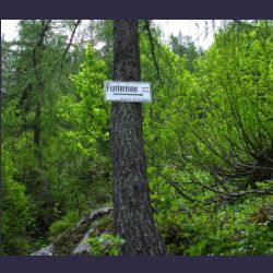 2007-05_09Saletsteig (155).JPG